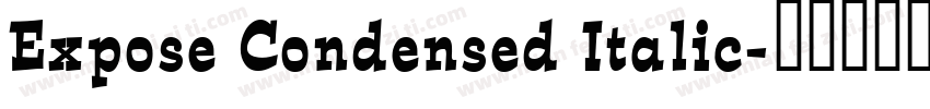 Expose Condensed Italic字体转换